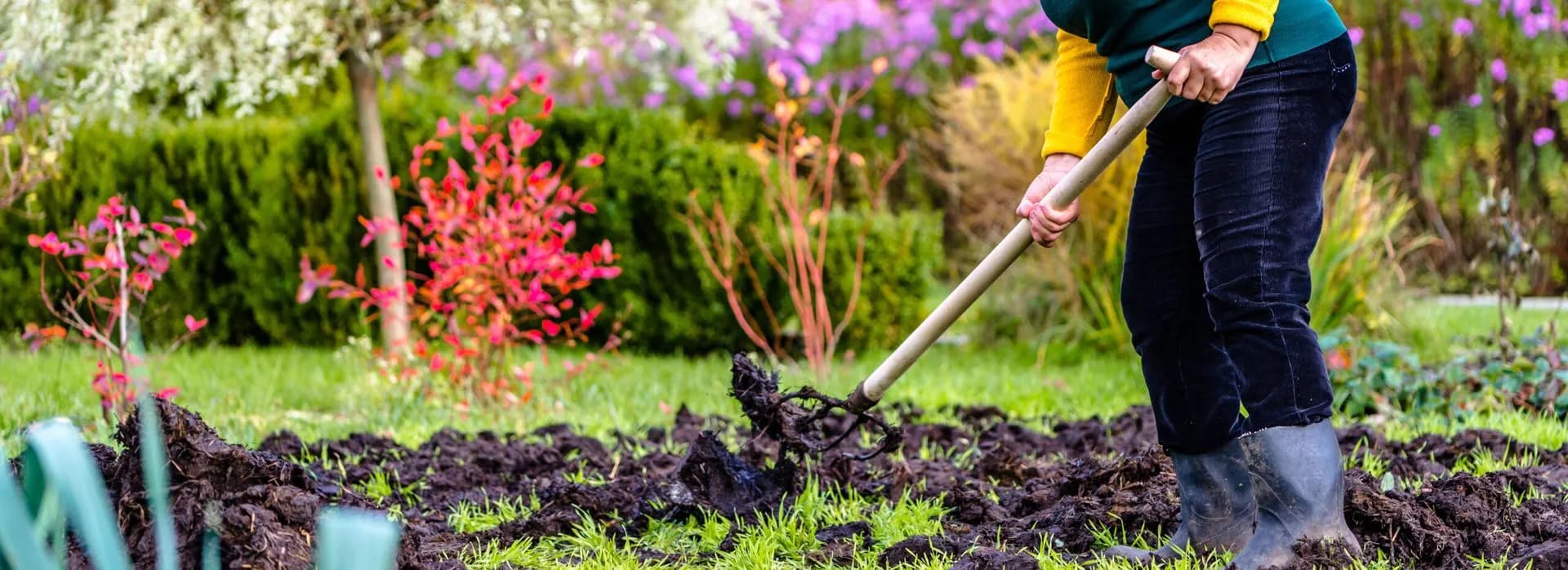 Renovatie van een tuin met nieuwe beplanting